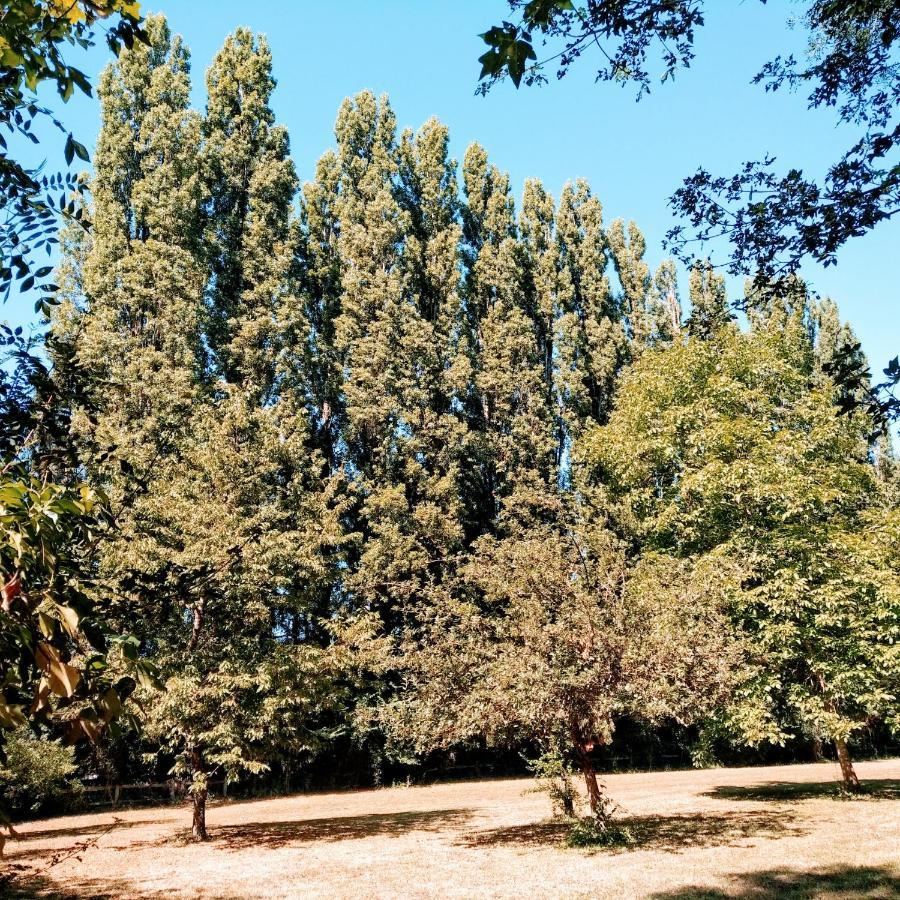 Domaine De La Clef Des Champs Bed and Breakfast Limeray Εξωτερικό φωτογραφία
