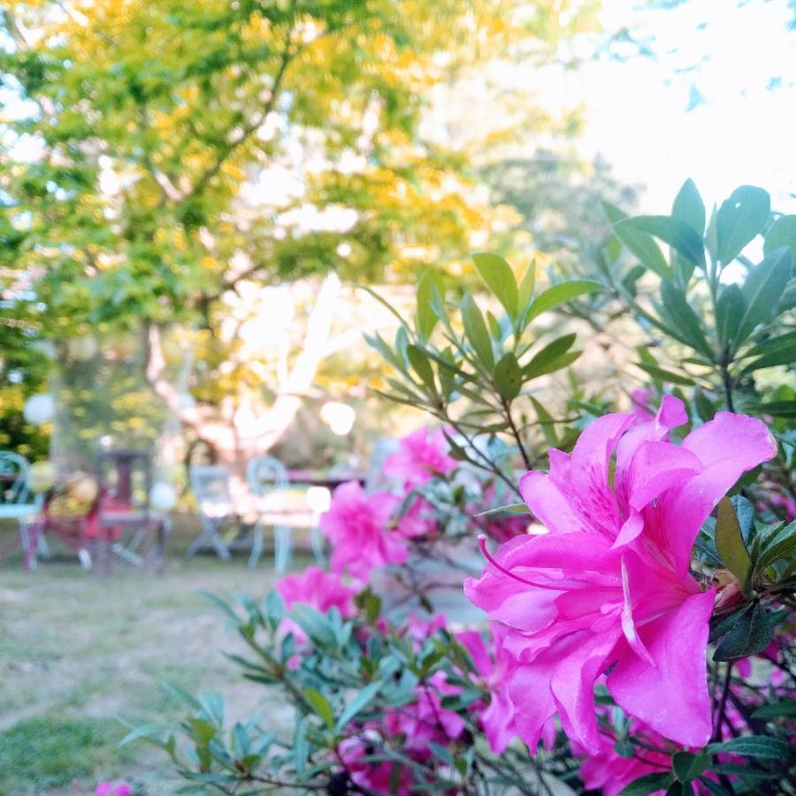 Domaine De La Clef Des Champs Bed and Breakfast Limeray Εξωτερικό φωτογραφία