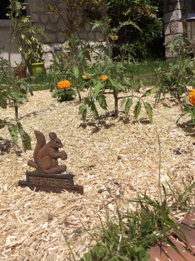 Domaine De La Clef Des Champs Bed and Breakfast Limeray Εξωτερικό φωτογραφία